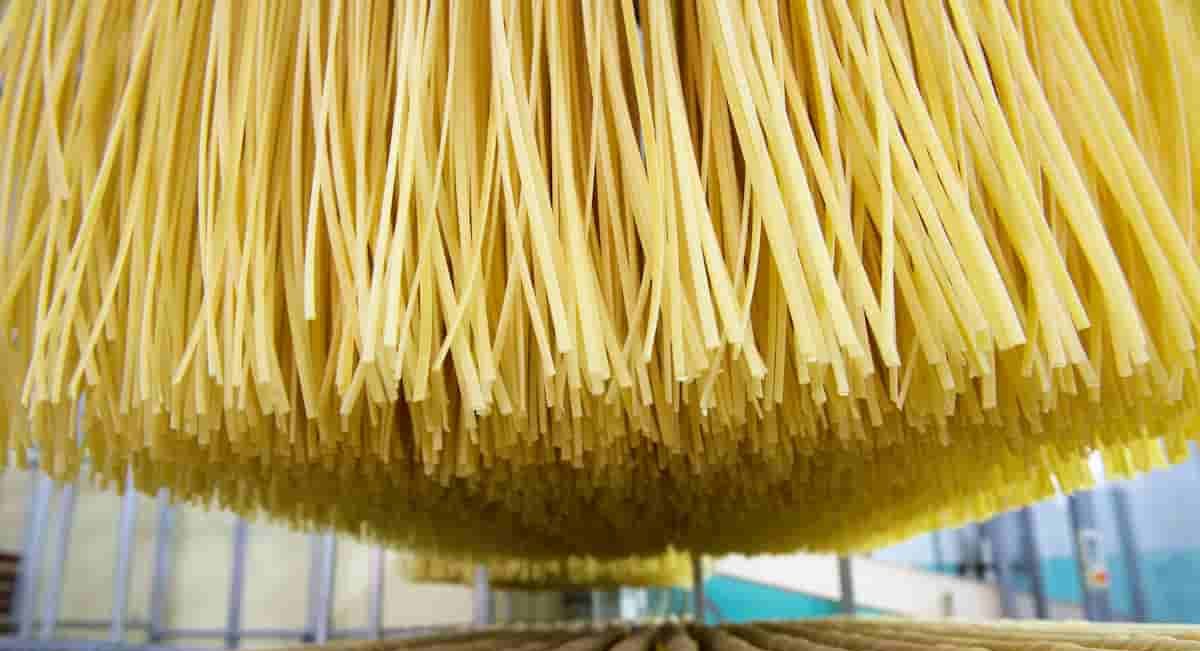  Global pasta factory market shop revenue 