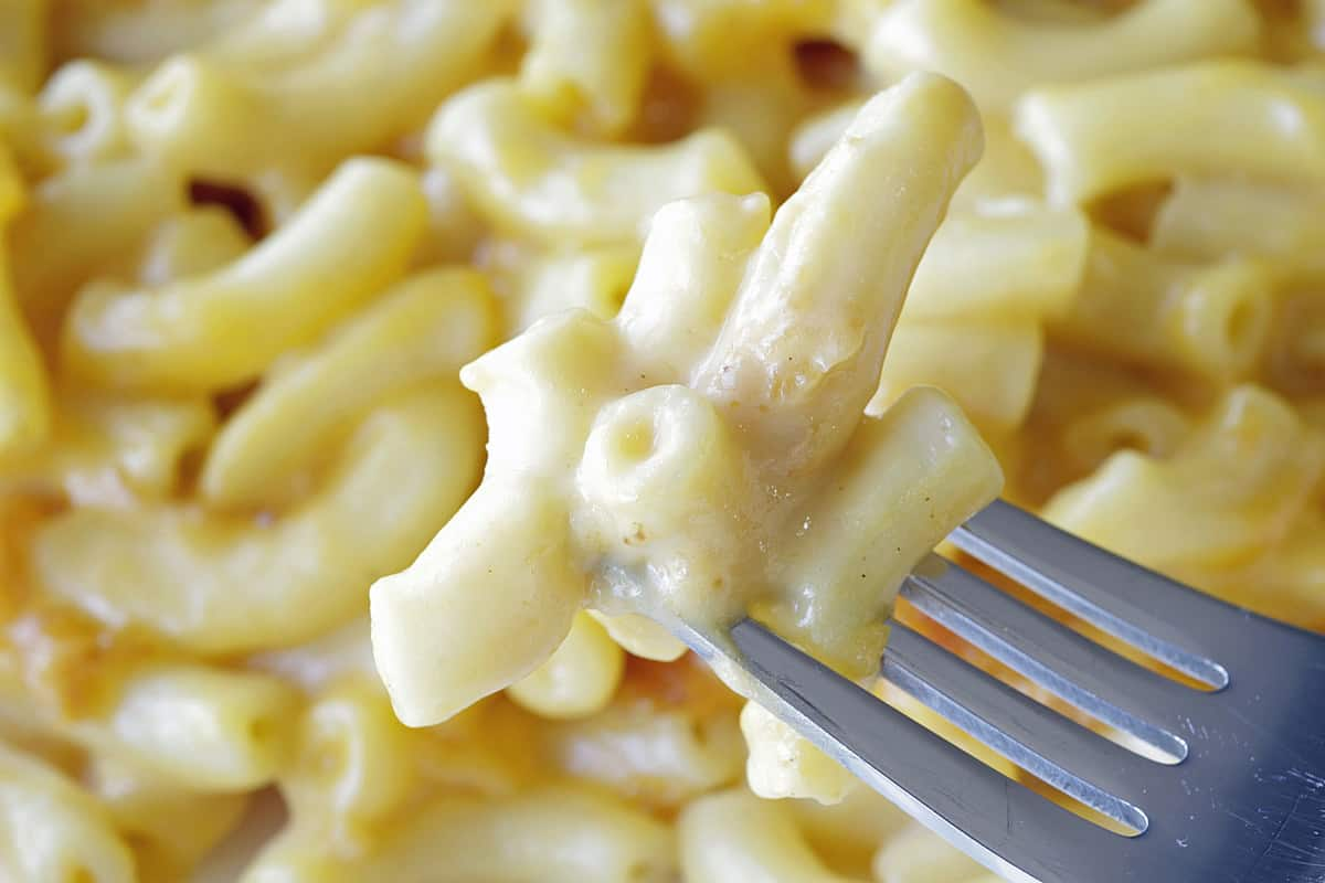  Buy pennsylvania macaroni + Introduce The Production And Distribution Factory 