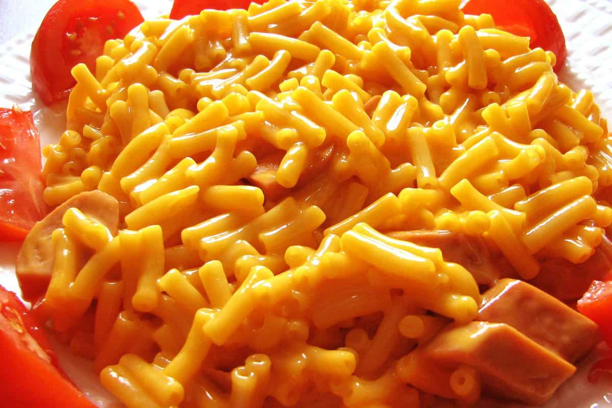  Buy pennsylvania macaroni + Introduce The Production And Distribution Factory 