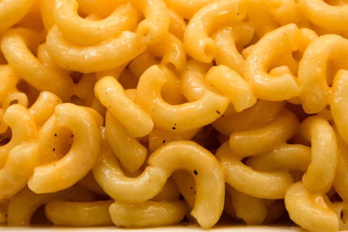  Buy pennsylvania macaroni + Introduce The Production And Distribution Factory 